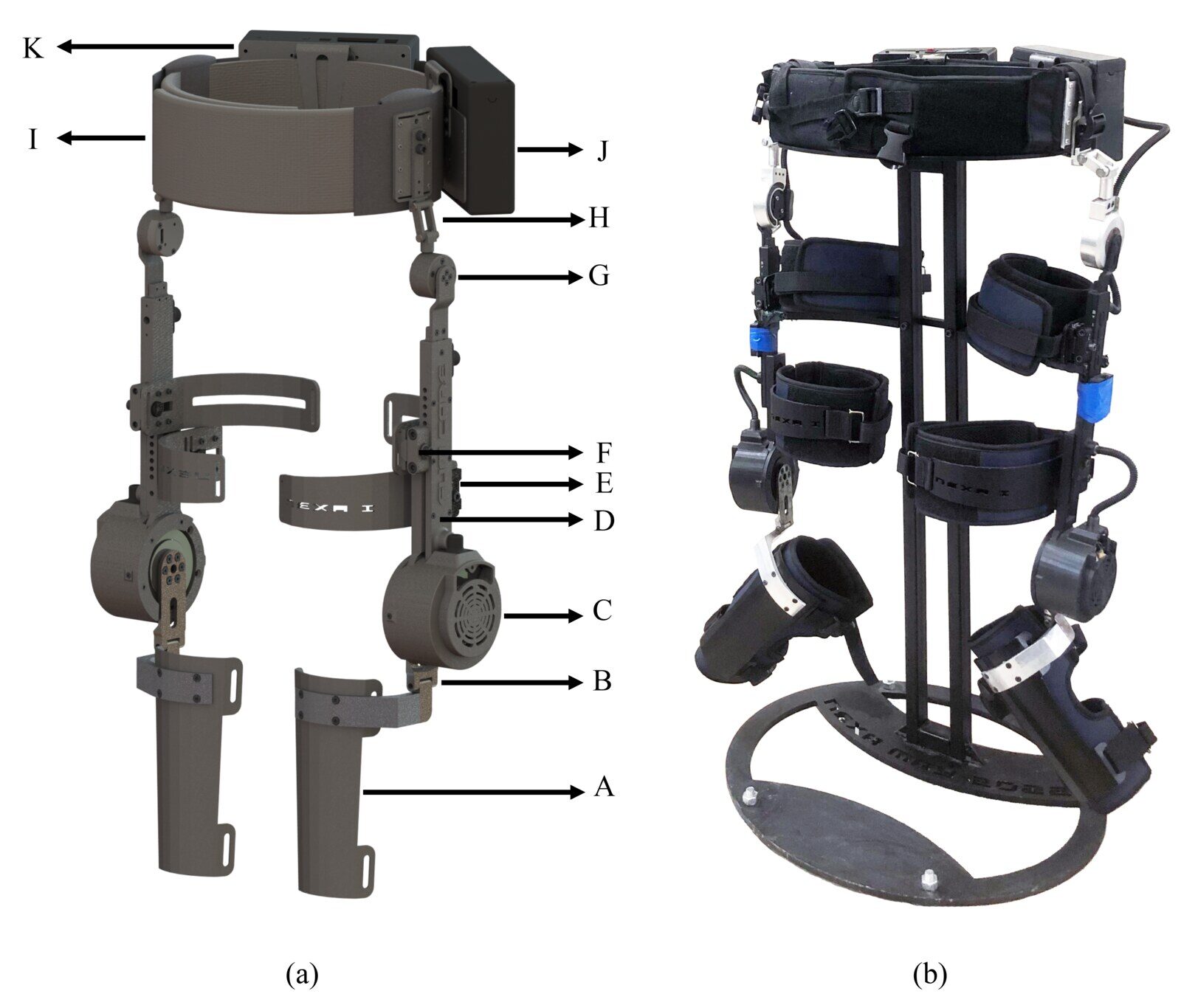 FUM-NEXA knee exoskeleton shown as a CAD design and as the manufactured prototype.